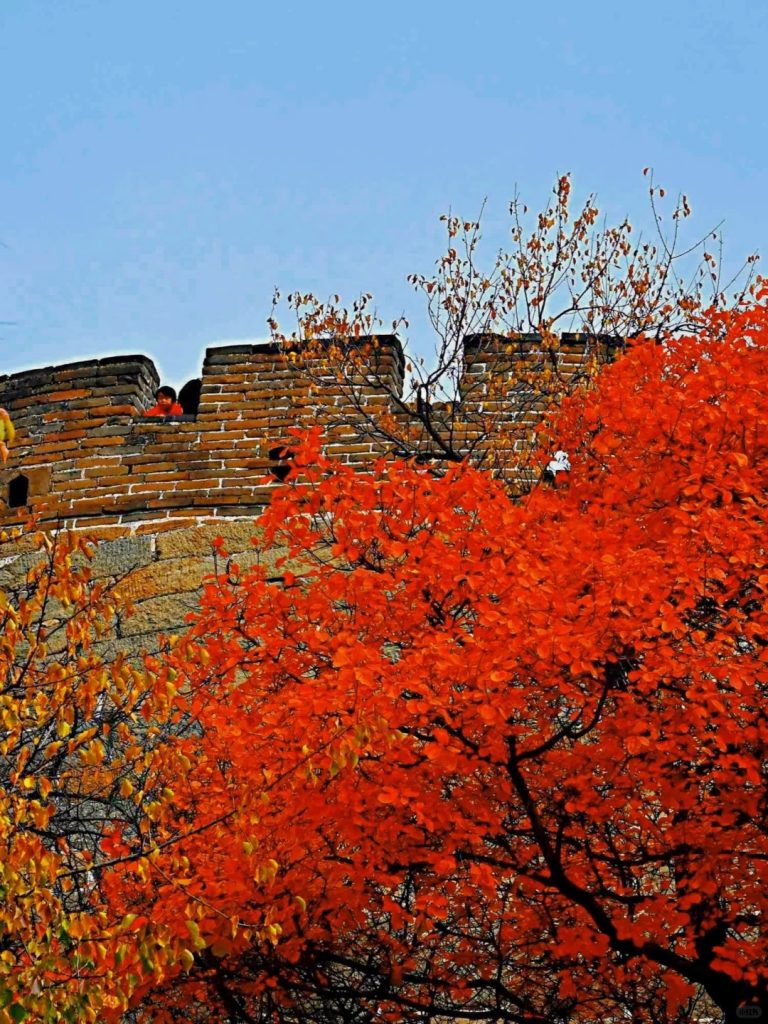 Mutianyu Great Wall in Autumn - 6