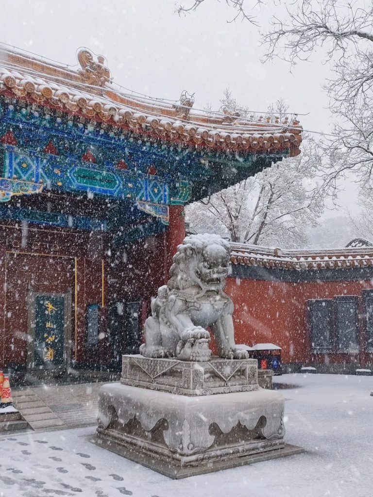 The Snow of the Forbidden City - 3