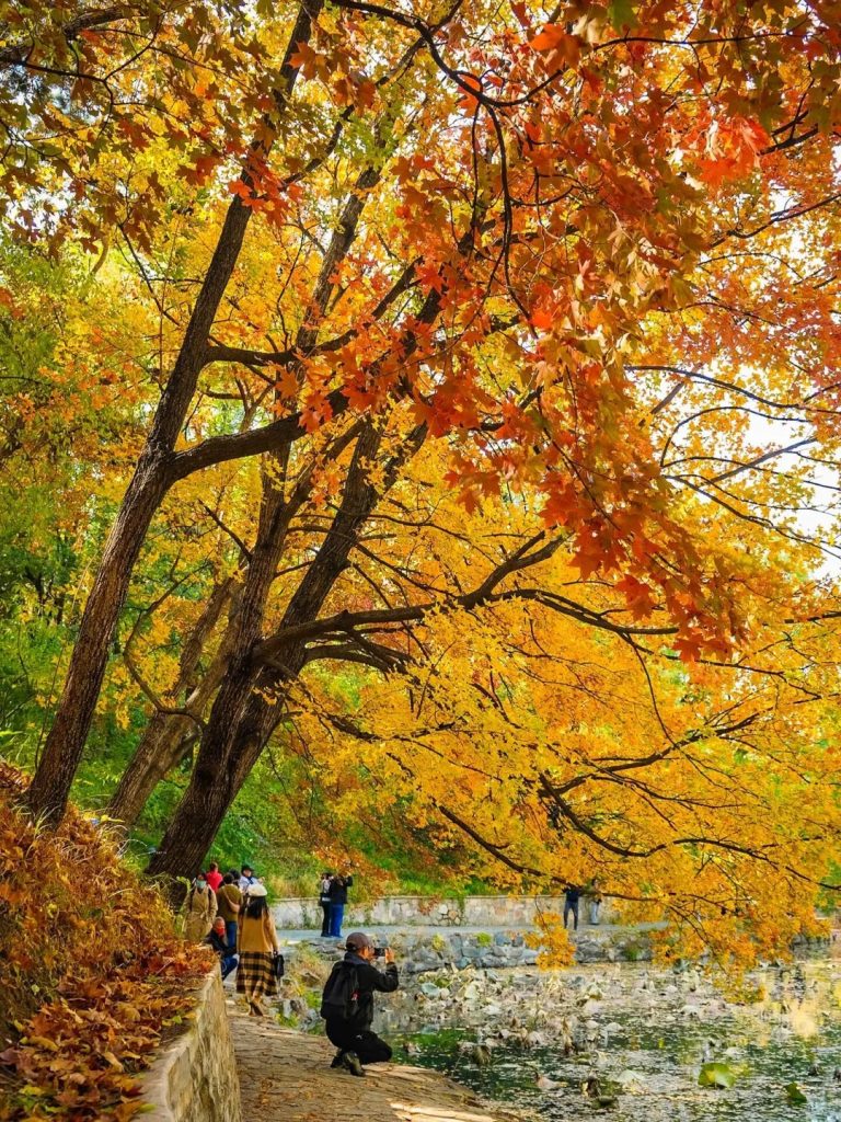 The Summer Palace in autumn.