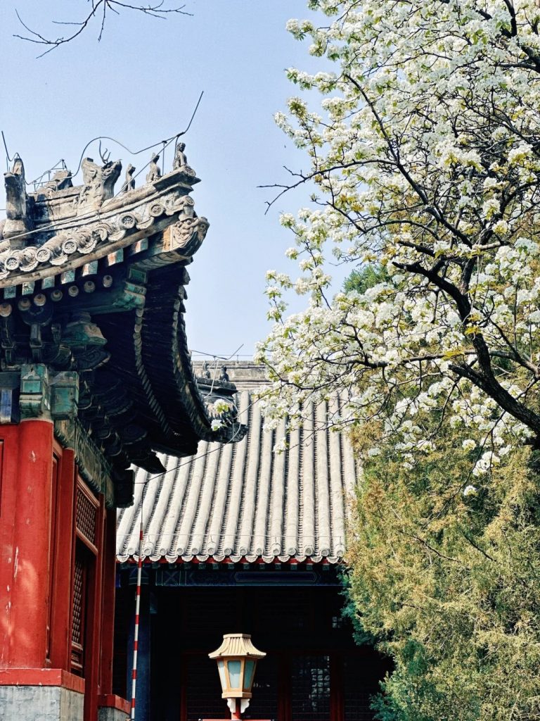 A Corner of the Guozijian