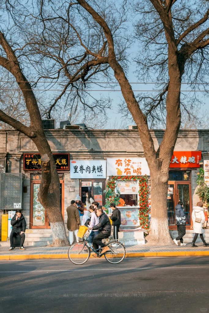 The Shops and Tall Trees on Both Sides of a Beijing Hutong