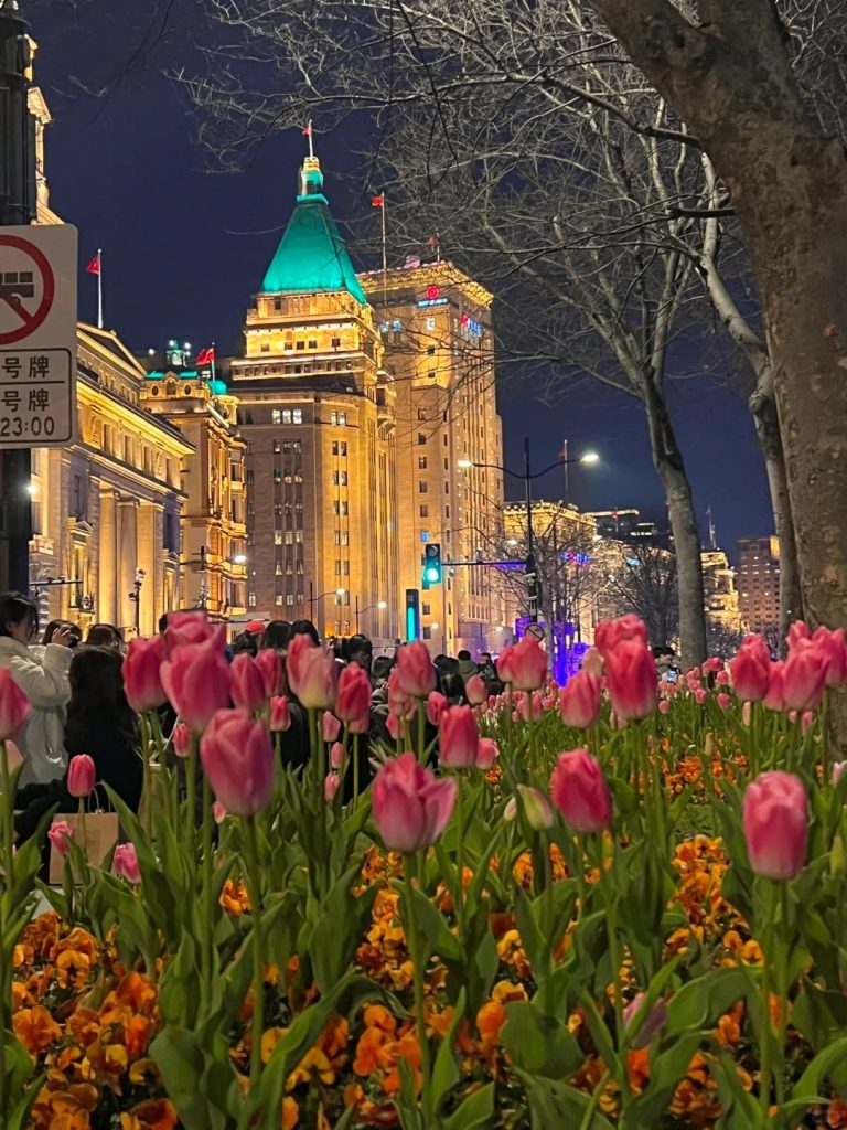 Spring Tulips on the Bund